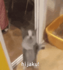 a cat is standing in a doorway and says hi jaku !