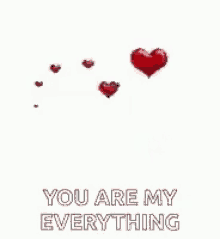 love you you are my everything