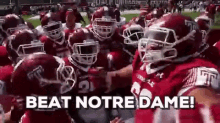 Beat Notre Dame - Temple GIF - Temple Temple University Temple Football GIFs