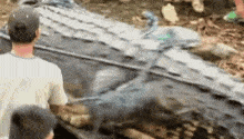 a group of people are standing around a large crocodile that is laying on the ground .