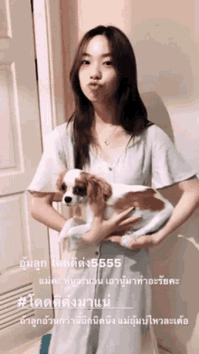 a woman is holding a small brown and white dog in her arms with the number 555 on the bottom right
