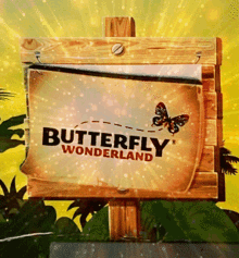 Butterfly Wonderland GIF - Butterfly Wonderland GIFs