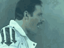 Freddie Mercury Searching GIF - Freddie Mercury Searching Looking GIFs