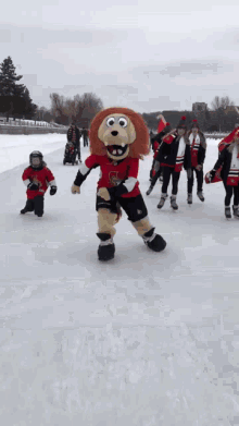 ottawa senators spartacat skating hockey nhl