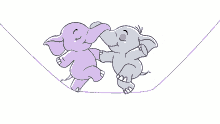 dance elephants