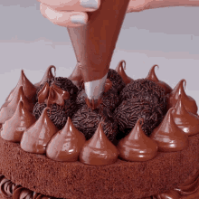 a person is frosting a chocolate cake with chocolate frosting and sprinkles