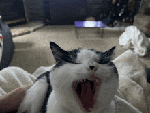 a black and white cat with its mouth open yawning