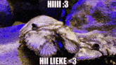 Lieke Hi Lieke GIF - Lieke Hi Lieke Haiiii GIFs