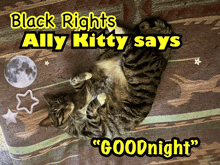 a black rights ally kitty says goodnight poster with a cat
