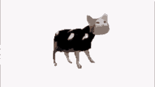 Pop Cat Polish Cow GIF - Pop Cat Polish Cow Meme GIFs