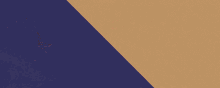 a blurry picture of a purple background with a few lines