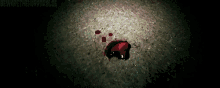 a small amount of blood is on the ground in a dark area