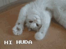 Hi Huda GIF - Hi Huda GIFs