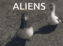 Aliens Bolt GIF - Aliens Bolt Boom GIFs