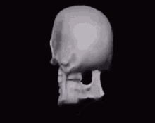 skeleton hihihi