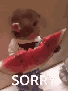 Sorry Omater GIF