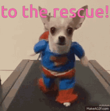 Super Dog Funny GIF - Super Dog Funny To The Rescue GIFs