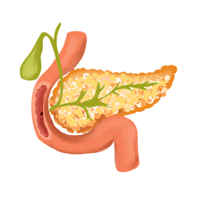 Pancrea GIF - Pancrea GIFs