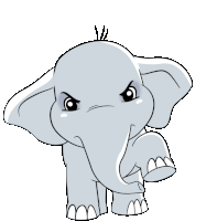 Angry Elephant GIFs | Tenor