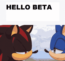 Hello Beta Sonic GIF