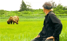 Grizzly Bear GIF - Grizzly Bear Timothy GIFs