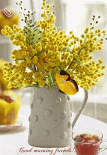 flower vase flower butterfly good morning morning