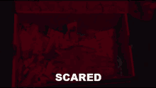 Scared Sparsh GIF - Scared Sparsh Mr Magician GIFs
