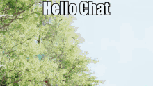 Sonic Frontiers Hello Chat GIF - Sonic Frontiers Hello Chat Sega GIFs