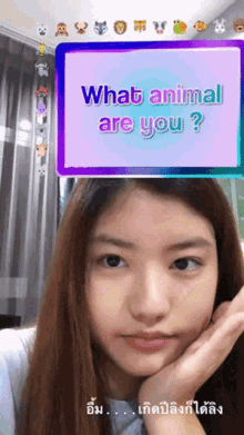 View Bnk48 Bnk48 GIF - View Bnk48 Bnk48 What Animal Are You GIFs