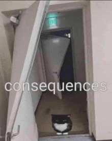 a black and white cat standing in a doorway with the words consequences written above it