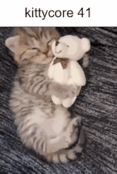 a kitten is hugging a teddy bear with the text kittycore 41