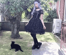 Tcake Lolita GIF - Tcake Lolita Cats GIFs