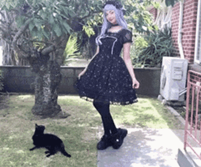 Lolita Cat Meme Buttons – Lolita Collective
