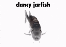 Clancy Jarvis Re7 GIF - Clancy Jarvis Clancy Re7 GIFs