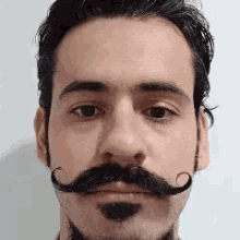 Mustache Funny Face GIF