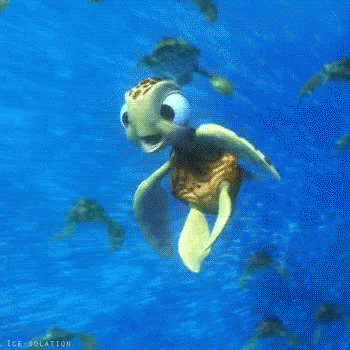 finding nemo squirt