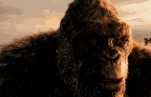 Godzilla Vs Kong Kong GIF - Godzilla Vs Kong Kong Smiling GIFs