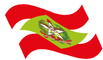 Bandeira Santa Catarina Sticker - Bandeira Santa Catarina Flag Stickers