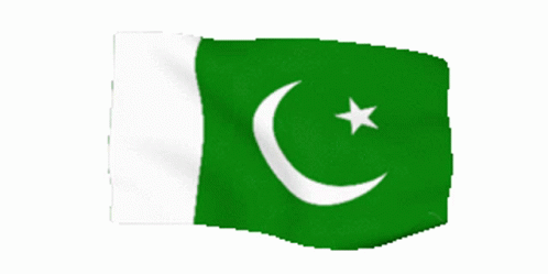 Pakistani Flag Pakistan Flag Sticker - Pakistani Flag Pakistan Flag  Animated Pakistan Flag - Discover & Share GIFs