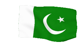 Pakistani Flag Pakistan Flag Sticker - Pakistani Flag Pakistan Flag Animated Pakistan Flag Stickers
