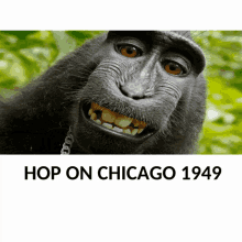 Hop On Chicago1949 GIF - Hop On Chicago1949 GIFs