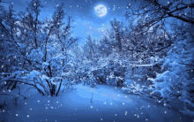 Snow Blowing Winter GIF - Snow Blowing Winter Peace GIFs