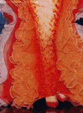 a close up of a red and white dress with ruffles and a red shoe