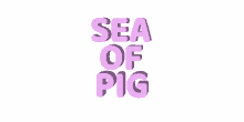 sea of pig sea of pigs team pig pigpredict