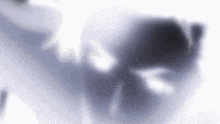 a blurred image of a person 's face with a white background