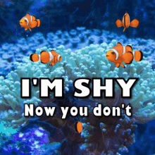 Im Shy Im So Shy GIF - Im Shy Im So Shy Now You See Me Now You Dont GIFs