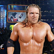 Triple H Wrestlemania17 GIF - Triple H Wrestlemania17 2001 GIFs