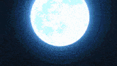a full moon is visible in the night sky