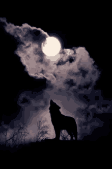 Moon Wolf GIF
