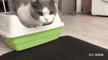 Cats Prevention GIF